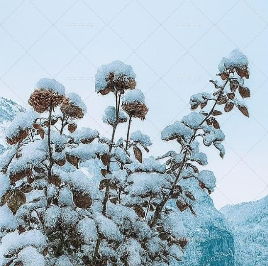 قطعه عکس زمستان