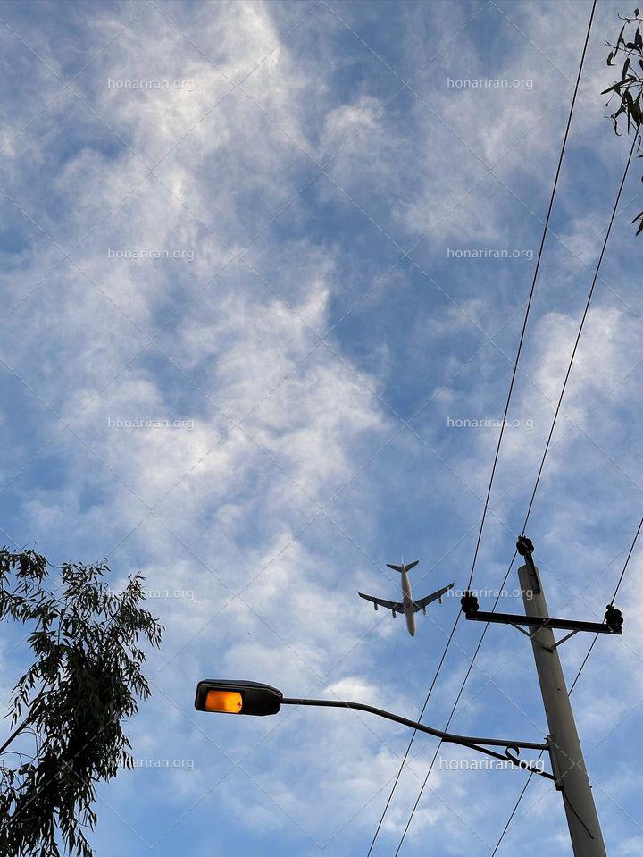 قطعه عکس زیرِ بال ها