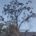 قطعه عکس رهایی