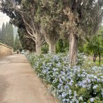 قطعه عکس چهلستون اشرف (پارک ملت بهشهر)