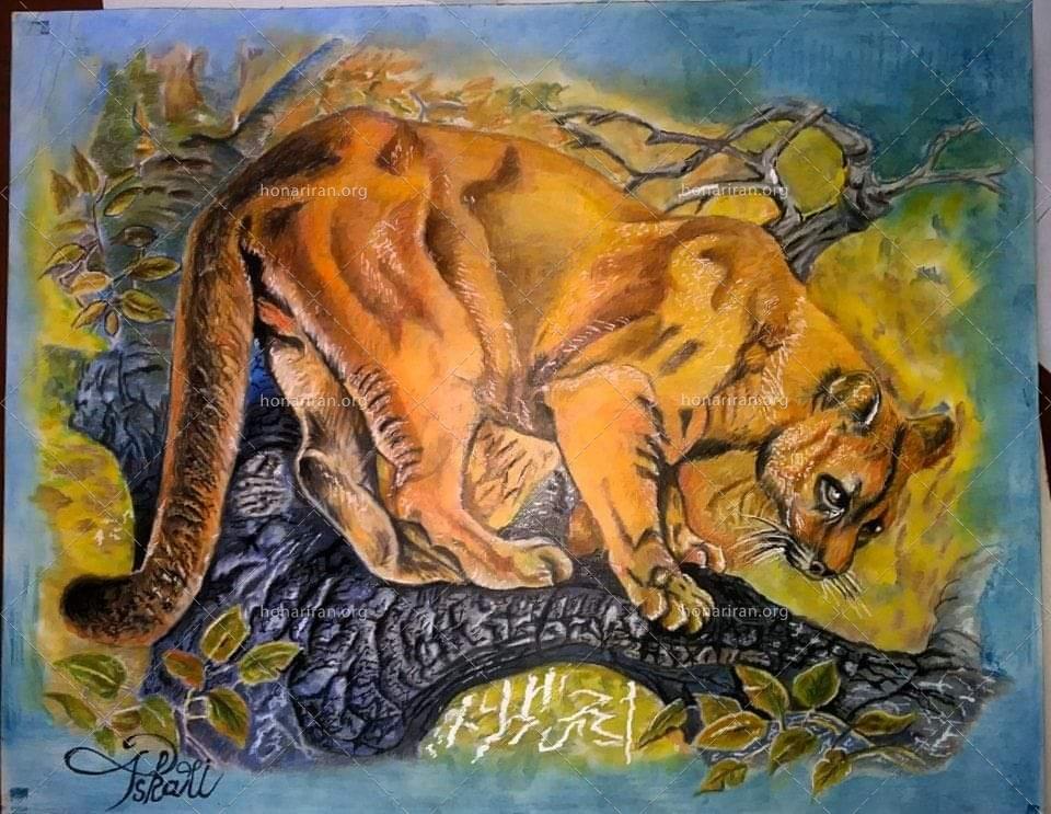 نقاشی مداد رنگی آناتومی حیوانات