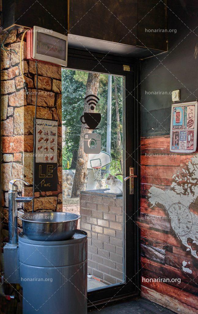 قطعه عکس کافه و گربه