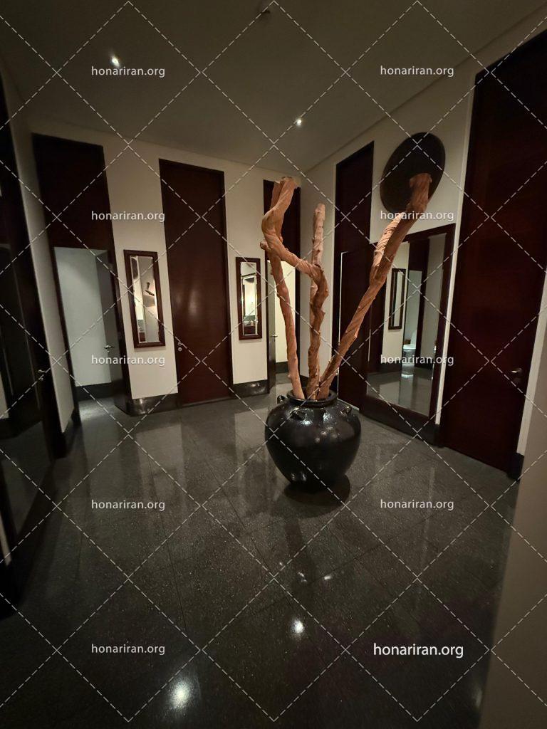 قطعه عکس، عمان گردی