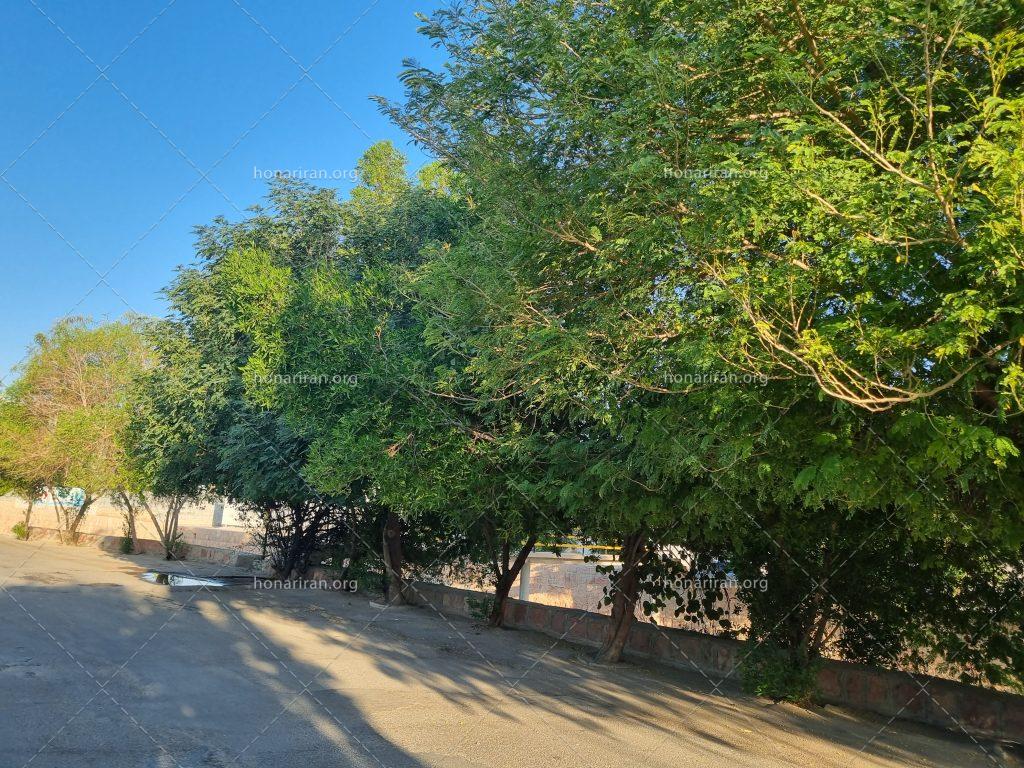 قطعه عکس زیبایی شهر