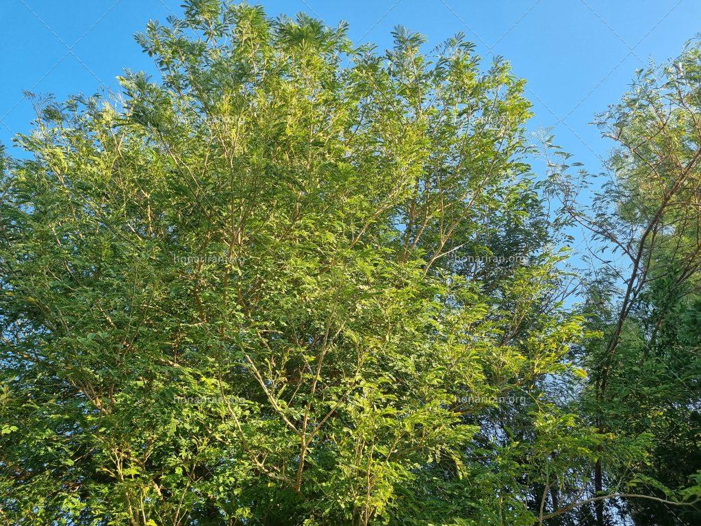 قطعه عکس آسمان زیبا