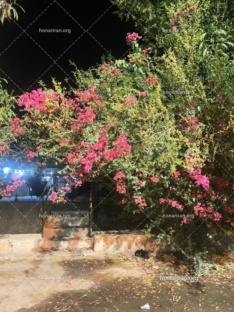 قطعه عکس زیبایی شهر