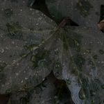 قطعه عکس طبیعت و تبلیغاتی