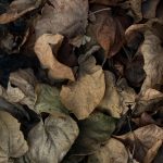 قطعه عکس طبیعت و تبلیغاتی