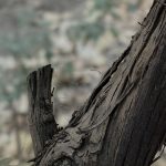 قطعه عکس طبیعت و تبلیغاتی