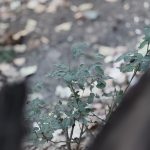 قطعه عکس طبیعت و تبلیغاتی