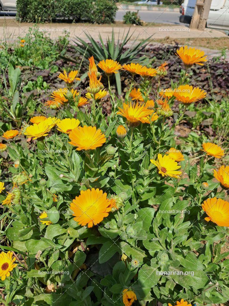 قطعه عکس خورشید و آسمان
