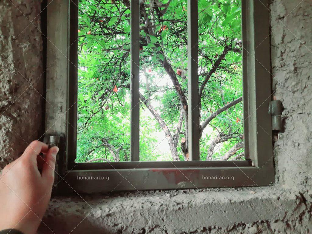 قطعه عکس منظره طبیعت از پنجره