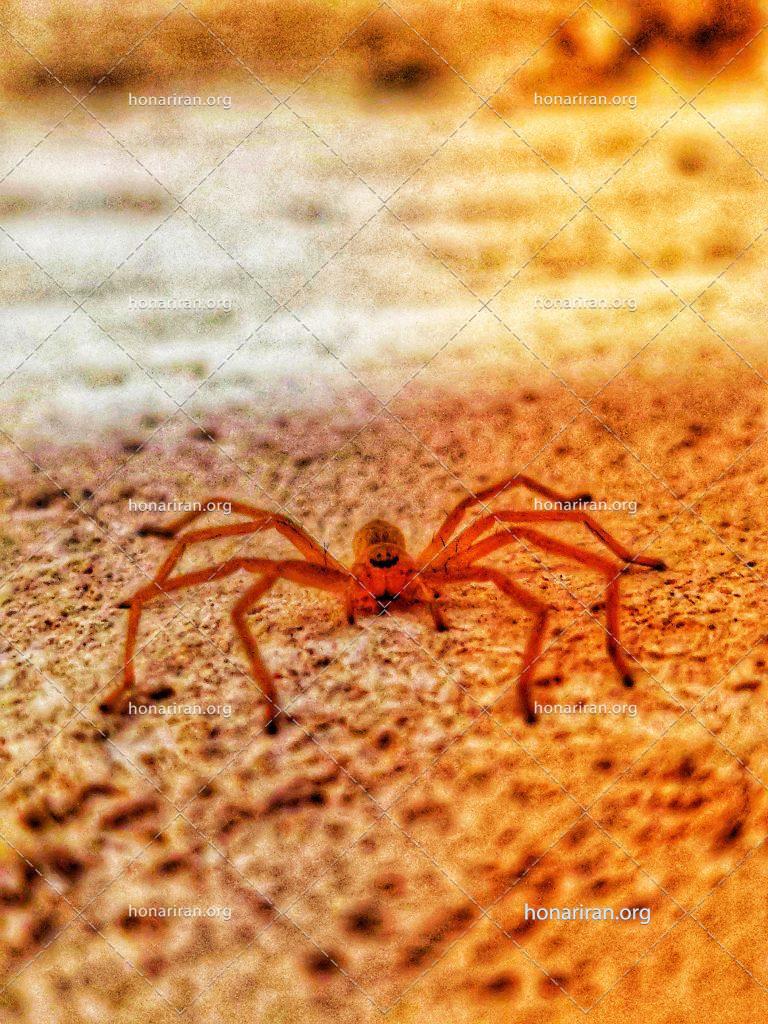 قطعه عکس لبخند زیبا