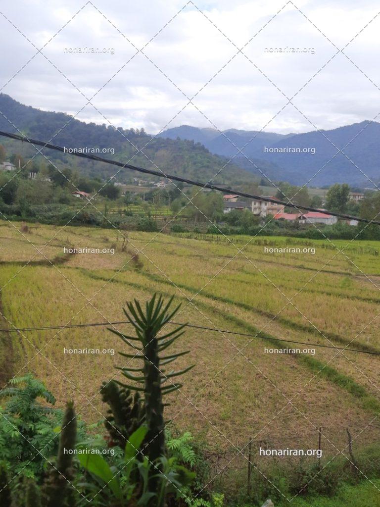 قطعه عکس طبیعت