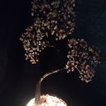 درختچه و شبخواب آمیتیست، شجر، در،  سیترین