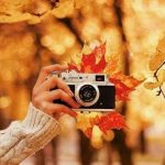 قطعه عکس هنری