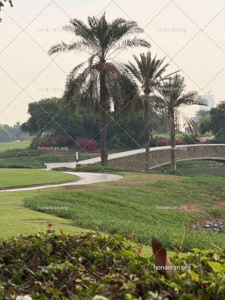 قطعه عکس پارک سرسبز در دبی