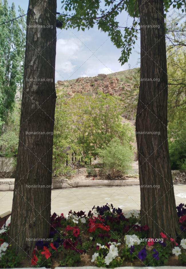 قطعه عکس قابی زیبا از درخت و طبیعت