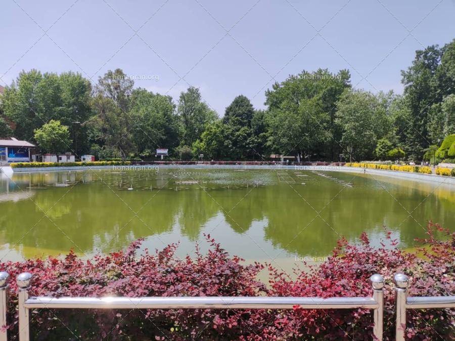 قطعه عکس دریاچه و طبیعت اطراف رشت