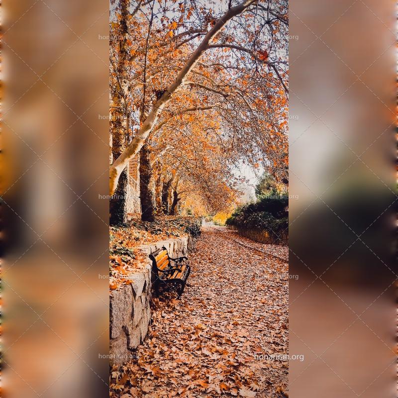 قطعه عکس پاییز تنها