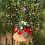 بوته توت فرنگی تزئینی مخملی