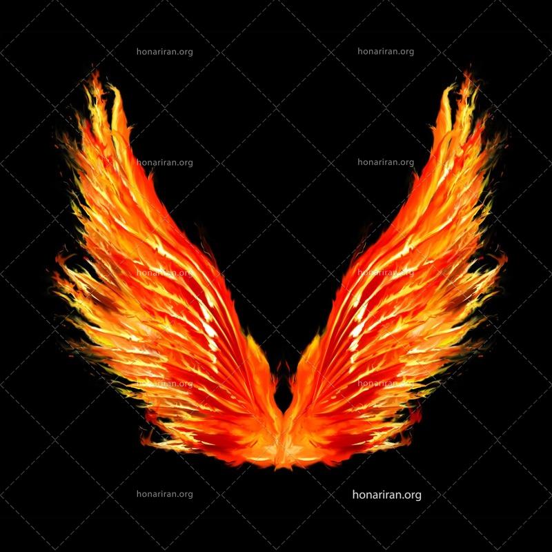 نقاشی شکوه پرواز