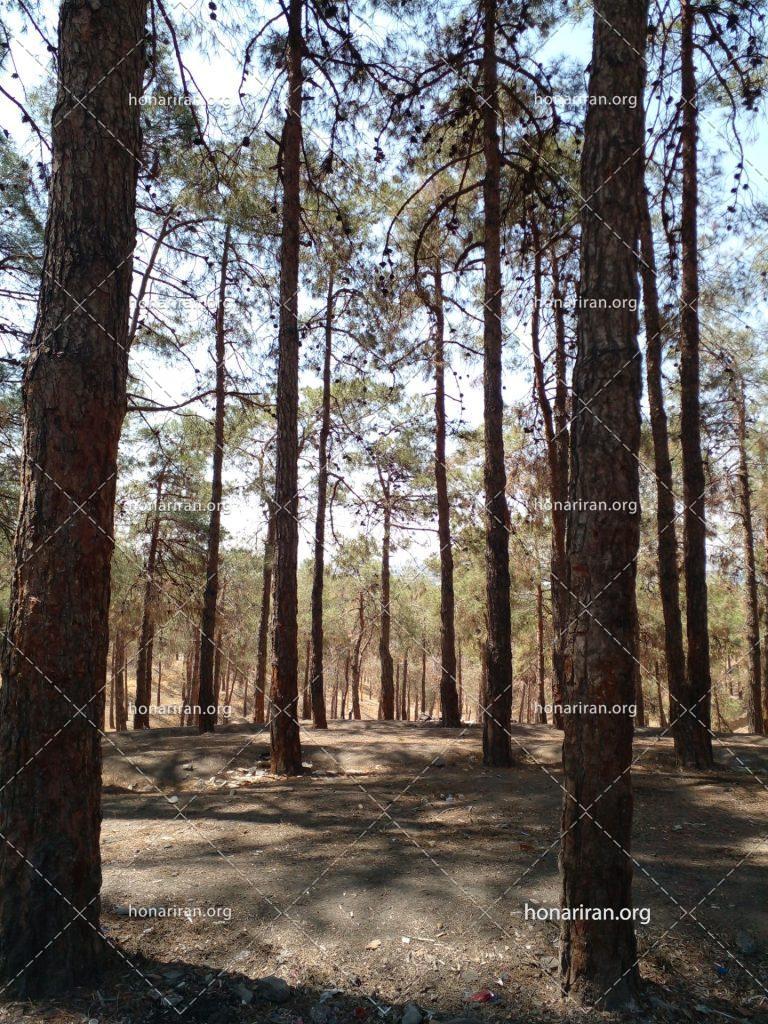 قطعه عکس طبیعت بکر