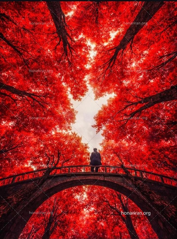 قطعه عکس پاییزی