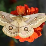 قطعه عکس طبیعت بهاری