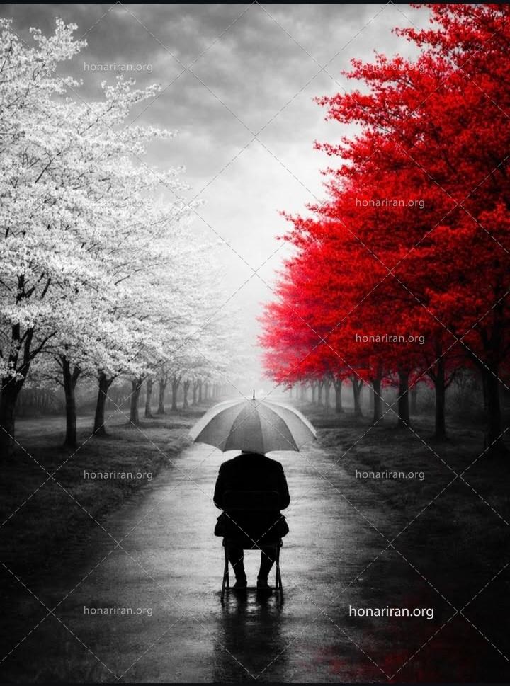 قطعه عکس طبیعت و انسان