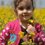 قطعه عکس بهاری