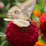 قطعه عکس طبیعت بهاری