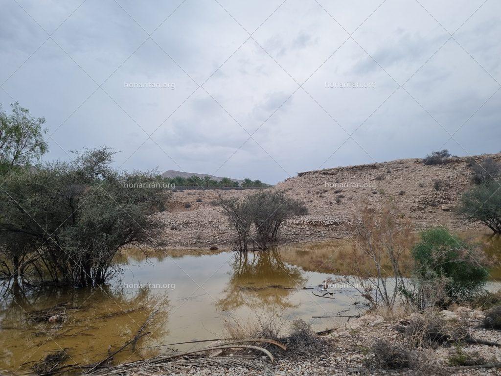 قطعه عکس باران وطبیعت