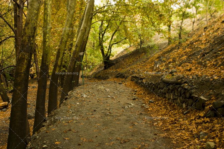 قطعه عکس مسیر کوهپیمایی کلکچال در پاییز – طبیعت زیبای پاییزی