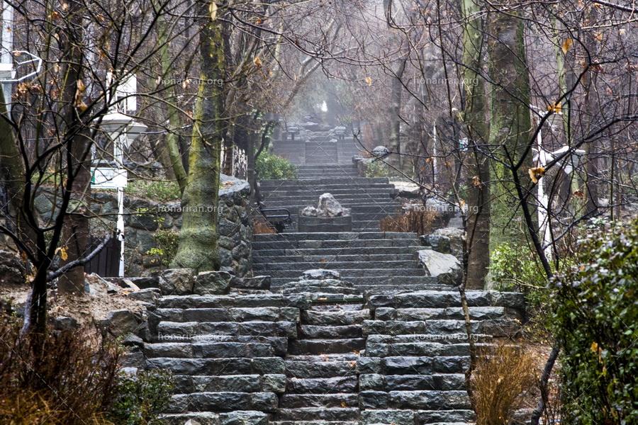 قطعه عکس پله های سنگی زیبا در پارک زمستانی – عکاسی از مناظر طبیعی در زستان