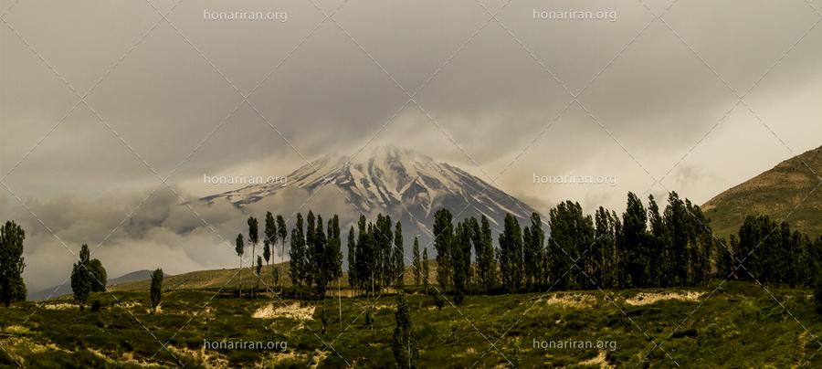 قطعه عکس کوه دماند در میان درختان و برف در ابتدای زمستان