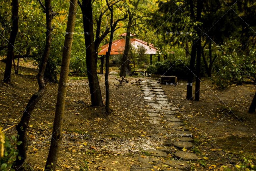 قطعه عکس پارک جنگلی در پاییز