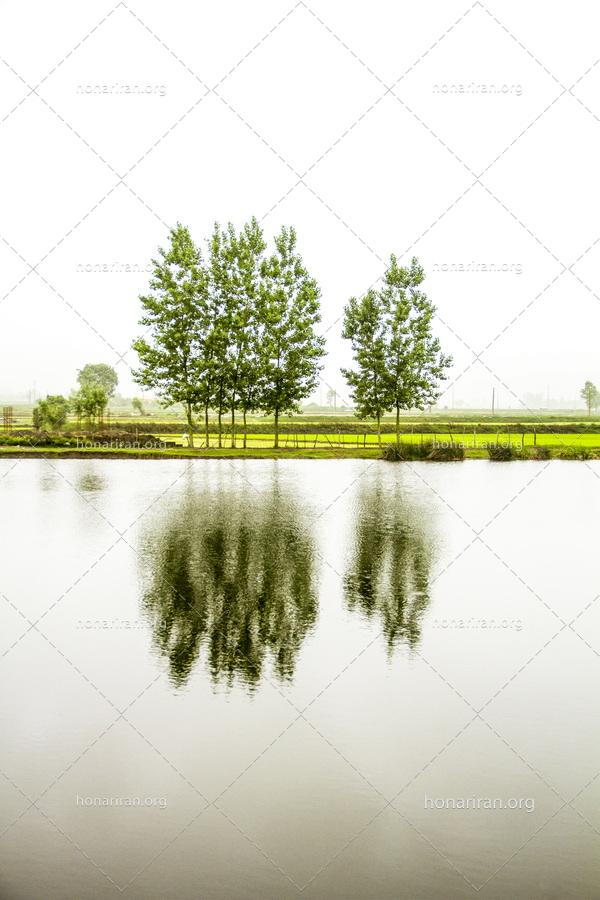 قطعه عکس درختان زیبا و بازتاب عکس آنها در آب دریاچه