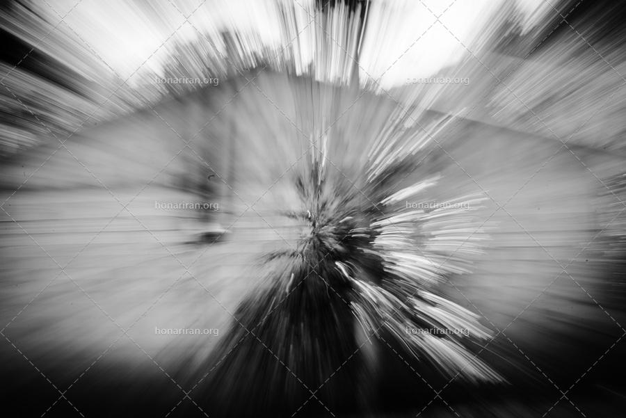 قطعه عکس سیاه و سفید انتزاعی درختان میوه تابستانی، از مجموعه آغاز خلقت