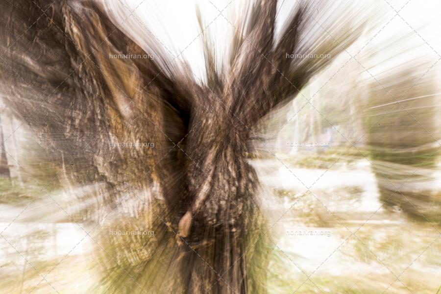 قطعه عکس انتزاعی – امپرسیونیسم – درختان باغ