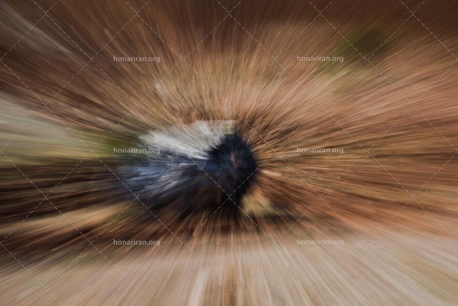 قطعه عکس انتزاعی از عناصر طبیعی – عکاسی امپرسیونیسم – سنگهای آسمانی