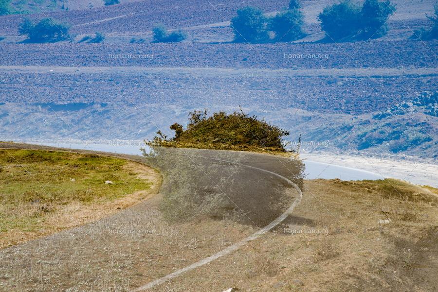 قطعه عکس انتزاعی – سبک مولتی اکسپوژر – جاده های طبیعی – درخت تنها در یک منظره زیبا