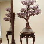 درختچه نگهبان سکوت