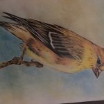 تابلو مدادرنگی گنجشک