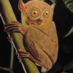 تابلو نقاشی پاستل گچی میمون شبگرد