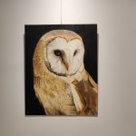 تابلو نقاشی پاستل گچی جغد انبار