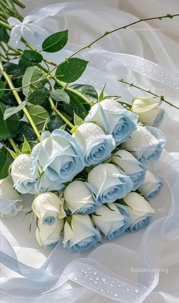 قطعه عکس طبیعت