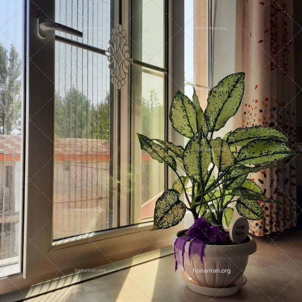 قطعه عکس تنهایی گل