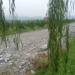 قطعه عکس طبیعت