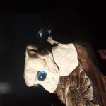 مجسمه سیاره دیگر